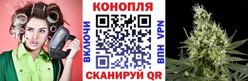 Каннабис Amnesia  Венёв 
